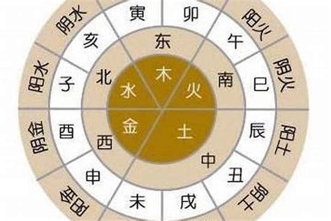 八字木太旺|雷門易：八字中木多木旺的人有哪些命運特征？